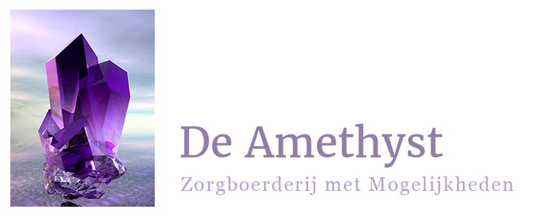 De Amethyst